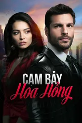 Cạm Bẫy Hoa Hồng (Cạm Bẫy Hoa Hồng) [2020]