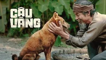 Cậu Vàng (Cậu Vàng) [2021]