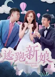 Cô dâu chạy trốn 2017 (Cô dâu chạy trốn 2017) [2017]