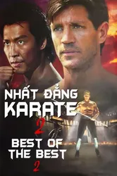 Nhất Đẳng Karate 2 (Nhất Đẳng Karate 2) [1993]